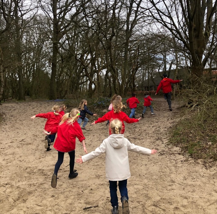 Bever scouts die buitenspelen 